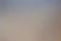 До 2028 года граждане стран Запада не смогут регистрировать жилье в Донбассе_2697