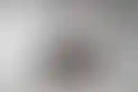 Сергей Чобан: «Современная архитектура ушла от формирования единого стиля»_2977