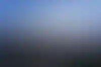 Девелопер Dominanta построит 180-метровый жилой небоскреб в Москве_2183