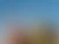 Выручка девелоперов в Петербурге сократилась, а в Ленобласти выросла_4902