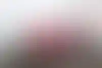 Wildberries & Russ стала лидером по вводу складов в России_4051