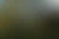 Эксперты считают, что отмена льготной ипотеки усилила требования к бизнес-классу в недвижимости_1210