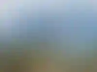 ДОМ.РФ: Девелоперы могут сдерживать продажи, чтобы избежать снижения цен_2297