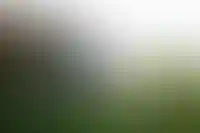 В банке ДОМ.РФ раскрыли портрет клиента ипотеки на ИЖС: у 62% есть дети_664