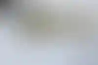 Доля самых «рискованных» ипотечных кредитов за 2 года сократилась в 7 раз_4191