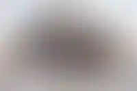 Китайцы стали в 14 раз чаще покупать элитную загородку в Подмосковье