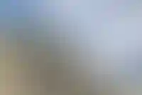 Госдума разрешила россиянам продавать имущество, заложенное по ипотеке_353