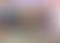 Рост продаж в новостройках почти не повлиял на цены в 2024 году_532