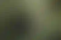 Взыскание долгов за ЖКХ планируют перевести в онлайн-формат к 2028 году_5712