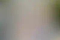 Закон о ежегодной индексации ипотечной субсидии внесли в Госдуму_6074