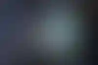 Теневая аренда жилья в России занимает 80–95% рынка_4746