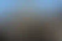 GloraX выходит на рынок Дальнего Востока_3125