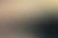 Самый высокий доход для комфортного погашения ипотеки в Москве — 223,9 тыс. рублей_1318