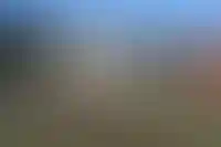 Число дач в продаже в Подмосковье за год сократилось на 15%_6215