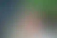 Ритейлер Lime закроет 14 магазинов по франшизе и уйдет в крупные форматы_7879