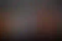 ГК «Эталон» подал заявку на бренд «Большая резиденция Деда Мороза в Москве»_4879