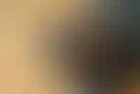 У «Атомстройкомплекса» изъяли 10 земельных участков под Екатеринбургом_5893