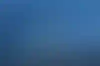 В Петербурге возобновили общественные обсуждения Лахты с двумя новыми небоскребами_6003