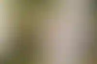Прохор Шаляпин купил большую дачу в Москве с кинотеатром и сауной