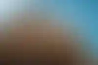 Доля ИЖС достигнет 60% в жилищном строительстве за 2024 год_991