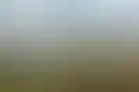 Стоимость аренды жилья на майские праздники выросла примерно в 1,5 раза_2693