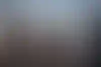 Стройотрасль стала одним из лидеров по взысканию убытков с директоров_6193