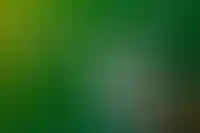 Сбер ведет переговоры о покупке доли девелопера O1 Properties_5801