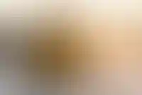 Девелоперы нарастили запуск новых проектов в Петербурге на треть в 2025 году_5493