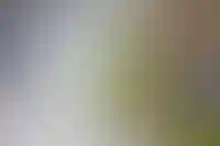 С 5 июня Сбер повысит ставки по ипотеке на 1,5 п.п._400