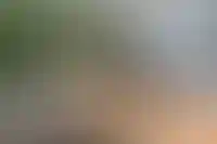 Производитель инструментов Makita взыскал 300 млн рублей с продавца подделками на Ozon_5962