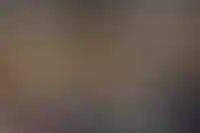 «Шоколадница» закрыла 39 заведений в 2025 году и пытается снизить плату за аренду_6125