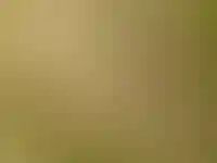 Земельный налог на небольшие участки могут отменить для участников СВО и их семей_3211