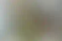 Alias Group: «Запуск реновации на курортах даст импульс новым проектам»_4666