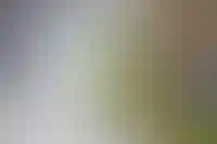 В мае Сбер выдал ипотек на 186,9 млрд рублей, рост к апрелю &mdash; 48%_465