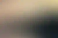 Аренда «однушек» в Москве выросла на 44% за год_1051