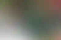 МВД проверит выписки из ЕГРН или договоры аренды жилья при регистрации иностранцев_4459