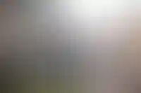 Приток рабочих из Индии в Россию может вырасти в 1,7 раза в 2025 году_1416