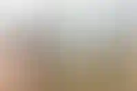 Московская дочка «Дарс Девеломент» планирует взять кредит на 1 млрд рублей в Сбере_3033