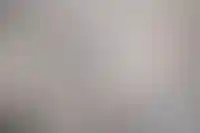 Интерес женщин к рабочим профессиям в стройотрасли за 5 лет вырос только в отделке_5843