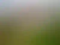 Спрос на строительство частных домов в России вырос на 13% за год_1031