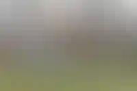 У россиян может появиться вариант снизить платежи за коммуналку на 50%_6245