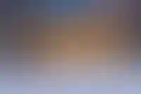 Стивен Сигал продает особняк с 22 домами на участке на Рублевке за 700 млн рублей_5497