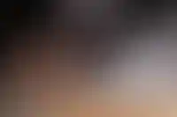 ГК «Основа» приобрела имущество деревообрабатывающего комбината АО «ДОК-3»_1256