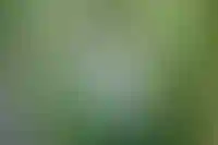 «Девелопмент-Юг»: Государство отрасль не бросит, будут находить сценарии поддержки_4021