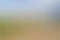 ГК ПИК закрыла крупнейшую сделку по аренде спекулятивных складов в Новой Москве_693