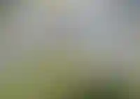 Воронеж стал лидером по росту цен на студии за год_2122