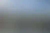 Сотрудников фонда капремонта Калининграда обвинили в растрате 9 млн на корпоративы_4707