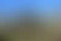 Подмосковный Зарайск стал лидером по падению цен на дачи в регионе — почти на 40%_6264