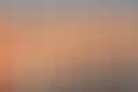 Район Дорогомилово оказался лидером по снижению аренды однушек в 2024 году в Москве_756