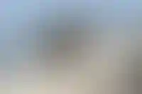 АТОР: Закрытие пляжей снизило турпоток в Анапу лишь на 10%_3093